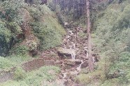 Stream Near Koti Kanesar