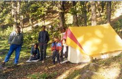 Camp in Forests above Auli