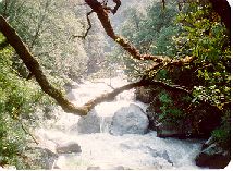 Bhilangana River