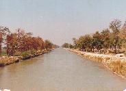 Ganges Canal behind IIT Campus