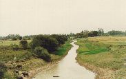 Stream on way to Bithoor